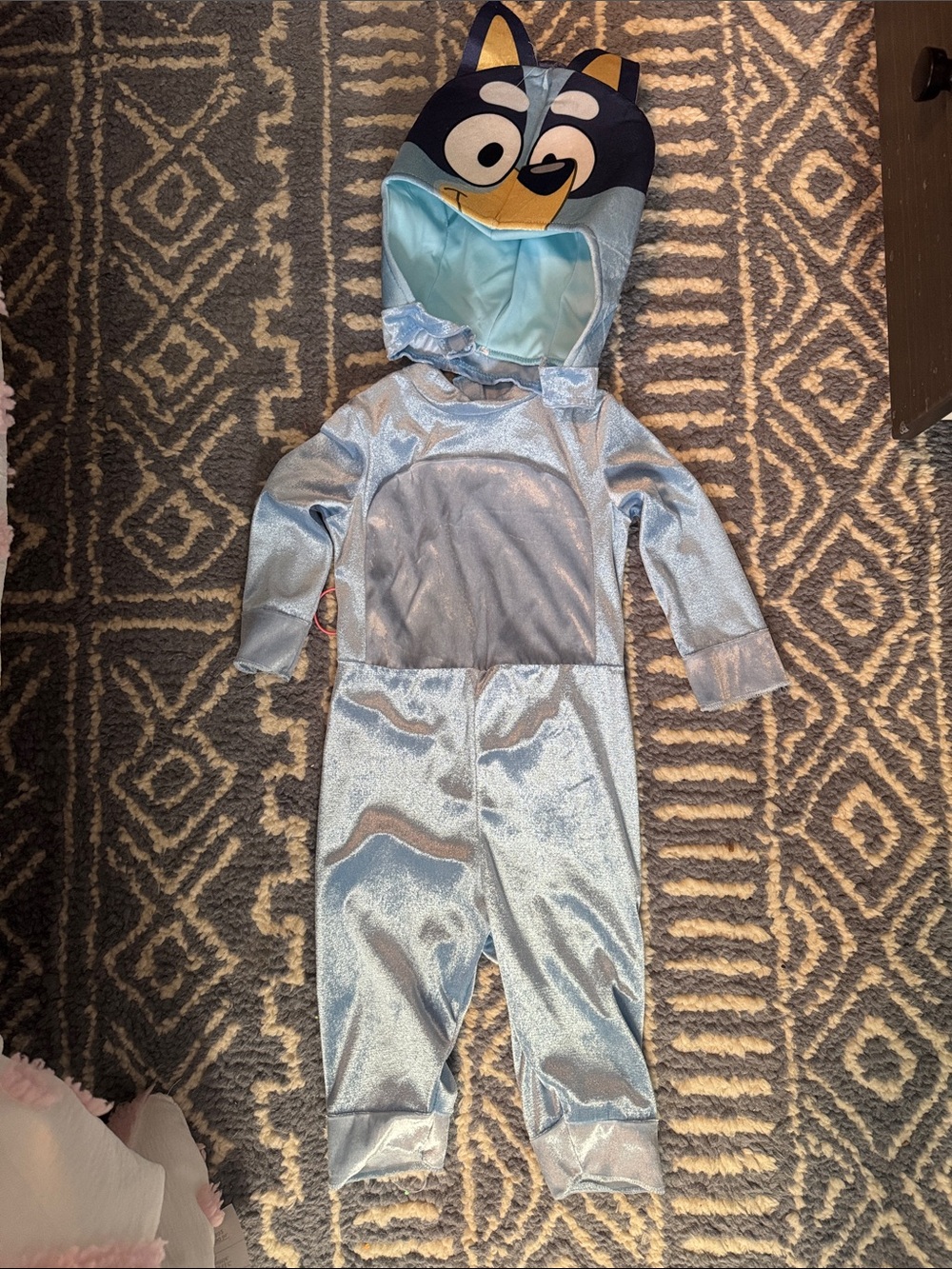 Bluey Hooded Costume